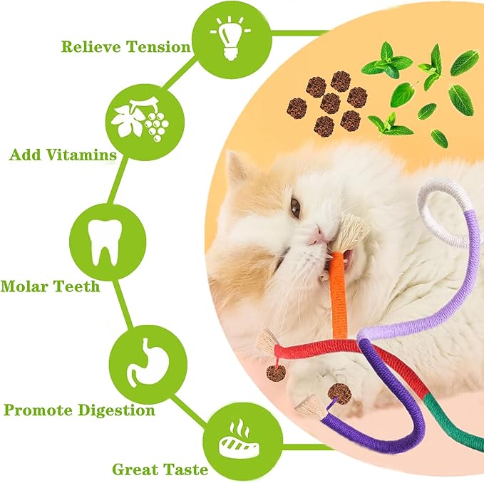 Cat Toys for Indoor Cats 21pcs Kitten Chew Self Play Kitty Dental Rope Interactive Catnip Toy Refillable Matatabi Treats for Cleaning Teeth Lickable Silvervine Feather Sticks