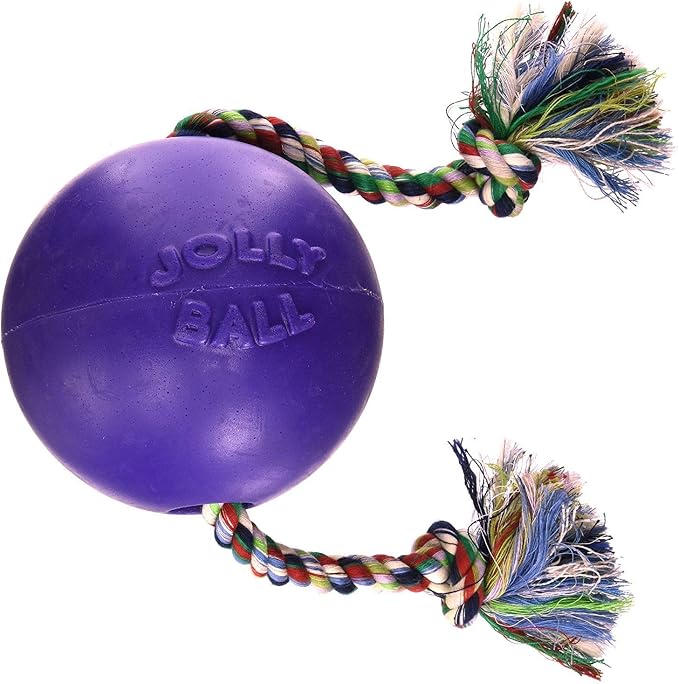 Jolly Pets Romp-n-Roll Rope and Ball Dog Toy, 4.5 Inches/Small, Purple, 4.5-Inch Romp-n-Roll, Purple
