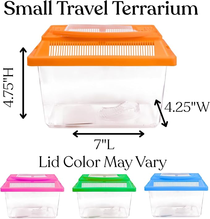 Needzo Ultimate All-in-One Hermit Crab Starter Kit, Neon Plastic Cage, Thermometer, Food, Treats, Trainer Bottle, and Coral Pieces, Terrarium Supplies for Pets and Reptiles