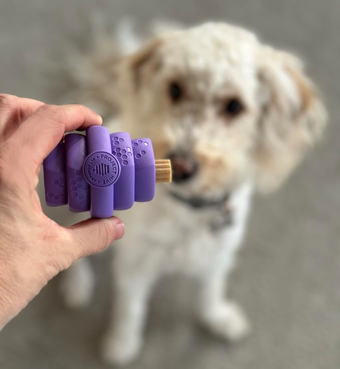 HIVE Parent (Calming Lavender, Hive Chew Toy for Small Dogs)