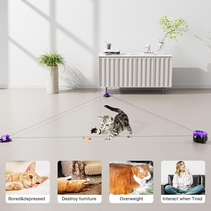 Interactive Cat Toys for Indoor Cats, Cat Treadmill Auto/Remote Control DIY Cat Mouse Hunting Toys, Keep Bored Kitten Dog Entertained to Chase, Feather Toy to Exercise Wheel-Purple