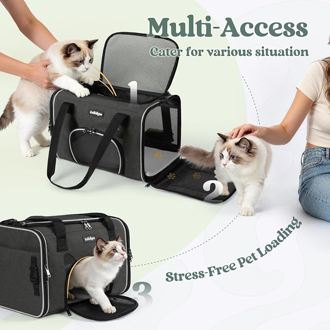 rabbitgoo Cat Carrier Soft Sided, Stable Portable Pet Carrier with Safety Buckles for Car Travel Vet Visit Airline, Comfortable Breathable Kitten Bag for Small Medium Cat, Black, 17x11x11 inch