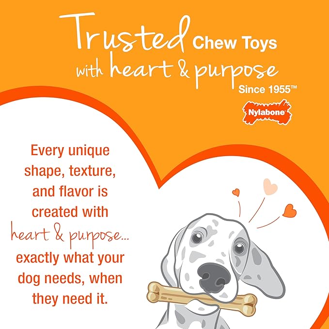 Nylabone New Puppy Chew Toy Bundle, Toys for Teething Puppies, Chicken & Bacon Flavors, Pink, X-Small - Up to 15 lbs, 4 Pack