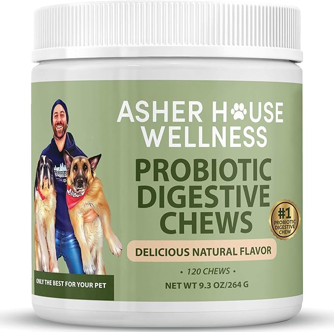 Asher House Wellness Probiotics Digestive Chew for Dogs - Now Lillie & Lee - Probiotic, Digestive Enzymes for Gut Health & Digestion - Pet Chews for Diarrhea, Upset Stomach - 120 Chews