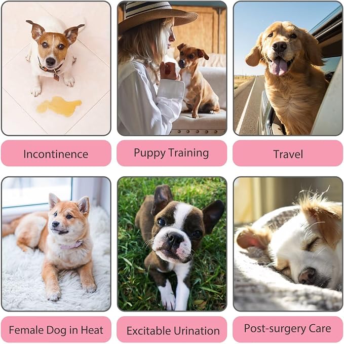Paw Legend Washable Reusable Female Dog Period Diapers for Heat Doggie Puppy Diapers for Female Dogs (3 Pack, Medium)