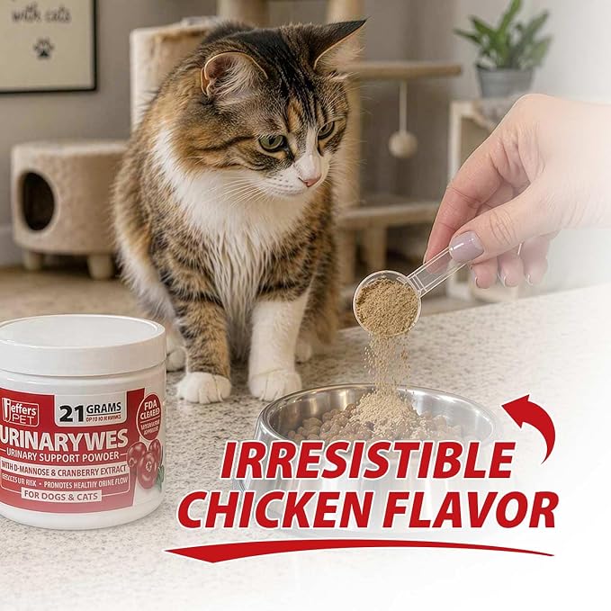 Jeffers Pet UrinaryWes Urinary Support Powder for Dogs & Cats, D-Mannose & Cranberry Supplement for Urinary Tract & Bladder Health, Kidney Support, UTI Prevention, Chicken Flavor Food Topper – 90 g