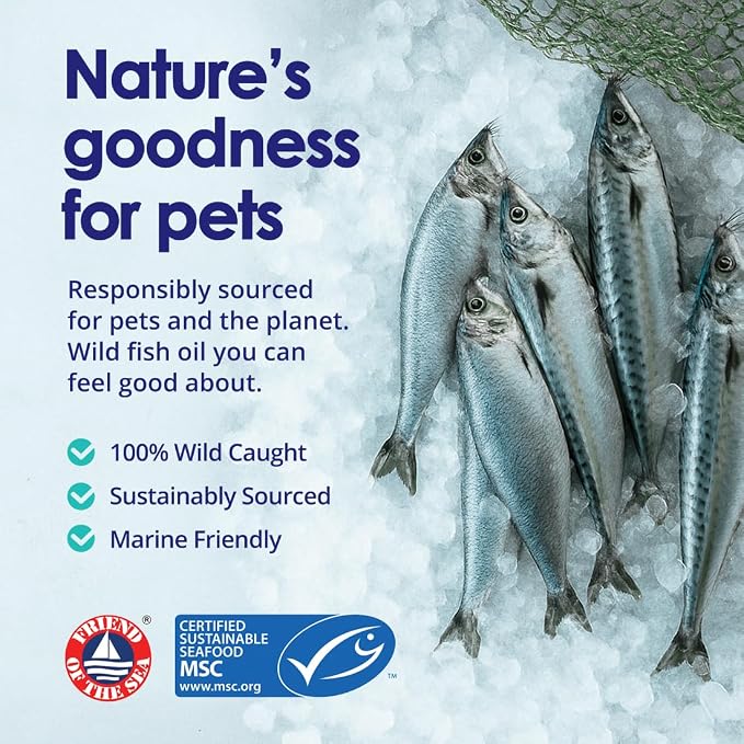 Liquid Fish Oil for Dogs with Omega 3, 6 & 9 Fatty Acids, Wild Caught from Iceland, Skin and Coat Supplement for Shedding, Itchy Skin, Allergies, Brain and Heart Health, Rich in EPA + DHA - 32 oz