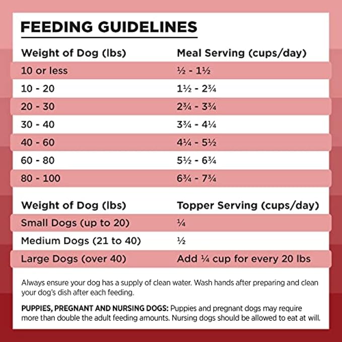 BIXBI Liberty Freeze-Dried Dog Food Topper & Treats, Beef – 98% Meat & Organs, No Refrigeration – USA Made, 4.5 oz