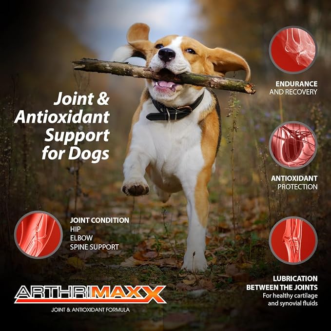 ArthriMAXX Hip & Joint Soft Chews for Dogs – Tasty Liver-Flavored Mobility Support Treats for Daily Comfort and Flexibility