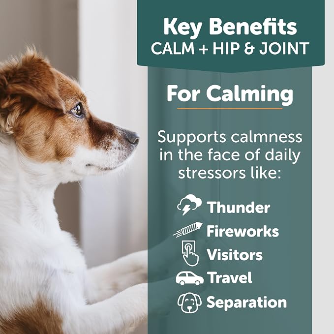 ThunderBites Calm + Hip & Joint Daily Supplement for Dogs, Soft Chews, Supports Joint Health Plus Calming from Daily stressors, Includes Glucosamine, Omega 3s, MSM, Melatonin, Ashwaganda, 90 Count