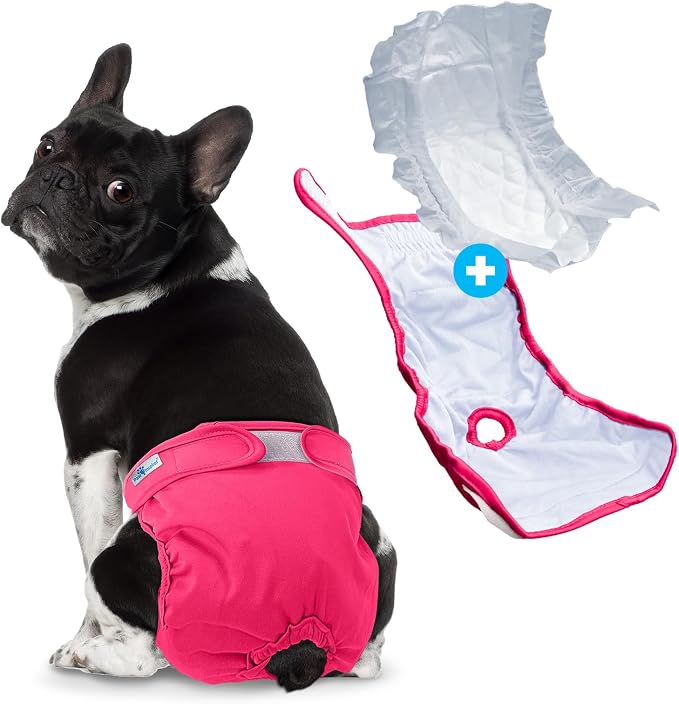 Paw Inspired Reusable Washable Dog Diapers (Pack of 3) in Assorted Colors with White Lining and Dog Diaper Suspenders in Black Combo Pack (Small)