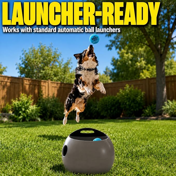 The Dog's Balls Dog Tennis Balls Tough 2.5" 12-Pack Blue Floats in Water | Our fetch balls combine non-abrasive felt exterior and a thicker rubber core Durable Dog Toy for Outdoor Play & Training
