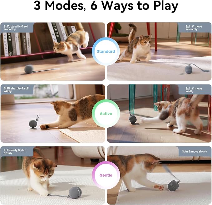 Cheerble 2 in 1 Interactive Cat Toys for Indoor Cats - Wicked Ball Duo2 Automatic Cat Toy, Dual Interchangeable Shells, Electric Cat Toy Ball with Chirping Sounds,Rechargeable Moving Kitten Toys, Blue