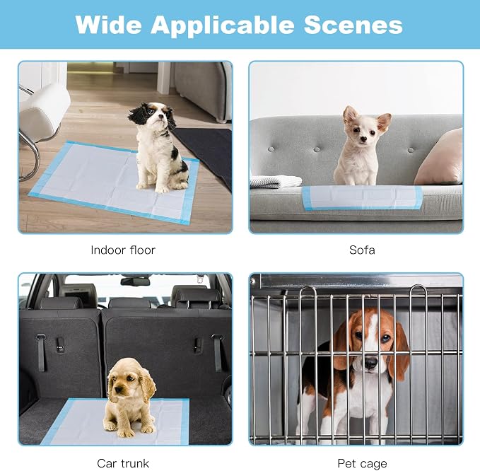 PETSITE Dog Pee Pads 24"x17"-300 Count, Dog and Puppy Potty Training Pads Super Absorbent & Leak-Proof, XL Disposable Pet Piddle Pad and Potty Pads for Dogs, Puppies, Doggie