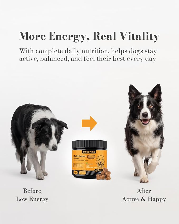 Dog Probiotics & Multivitamin Bundle, 240 Chews