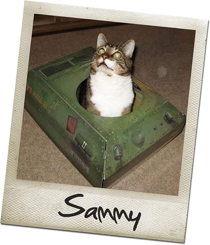 Suck UK | Tank Cat House | Cardboard Kitten Toys & Cat Bed | Interactive Cats Toy for Kittens & Cats | Novelty Kitten Accessories & Kitten Gifts | Indoor Toys or Outdoor House & Cave | Green