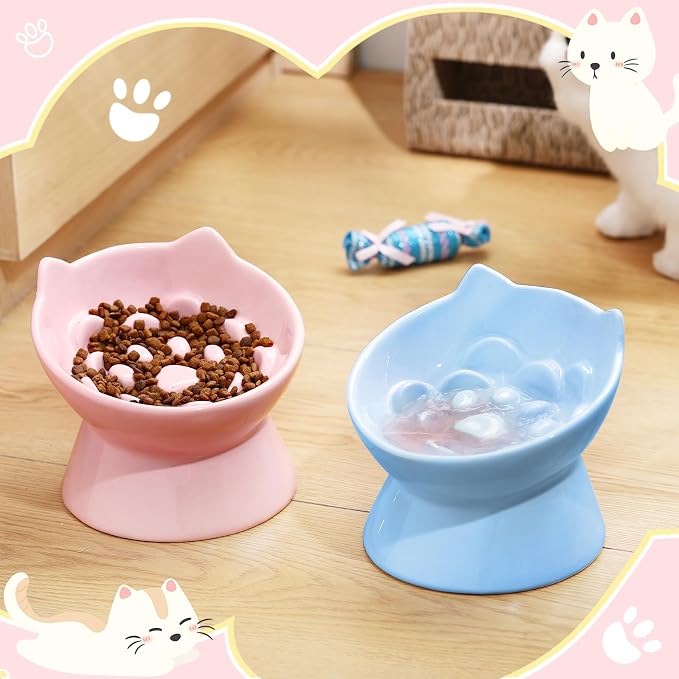 Funnymoom 2 Pcs Ceramic Raised Slow Feeder Cat Bowl, 5.91inch Elevated Cat Slow Feeder Bowl Tilted Anti Vomiting for Dry Wet Food and Water Easy to Clean High Edge(Pink, Blue)