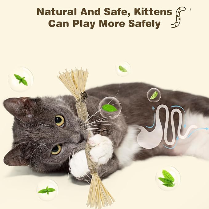 Silvervine Sticks for Cats - Cat Chew Toy for Teeth Cleaning, Edible Matatabi Kitty Chew Sticks, Catnip Cat Toys for Indoor Cats (4, Grey)