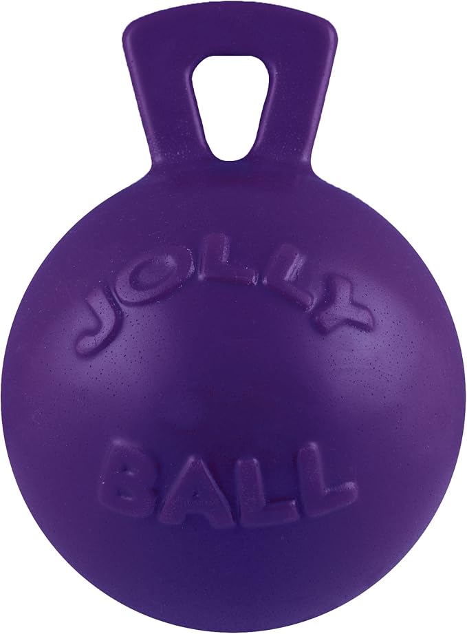 Jolly Pets Tug-n-Toss Heavy Duty Dog Toy Ball with Handle, 10 Inches/X-Large, Purple
