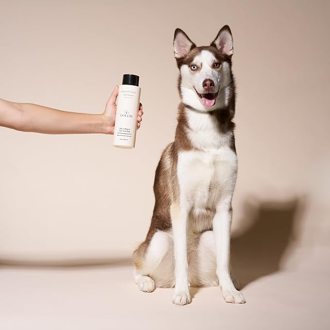 Hypoallergenic Dog Shampoo for Sensitive Skin & Puppies – Colloidal Oatmeal, Aloe Vera, Manuka Honey & Hyaluronic Acid, Moisturizing Itchy Skin Relief, Hydrating Coat Care, Deodorizing Formula, 16 oz