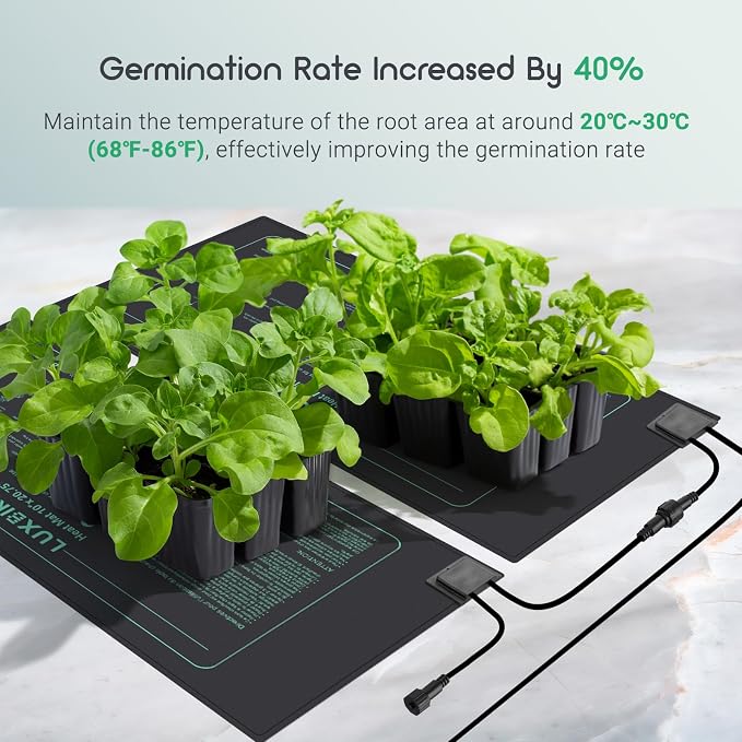 LUXBIRD Daisy Chain Seedling Heat Mat 10" x 20.75" Waterproof Plant Heating Pad, for Seed Starting, Germination, Hydroponics (Master Mat Required)