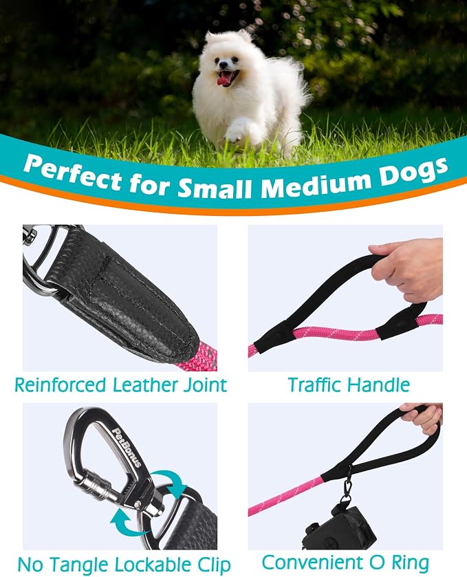 PetBonus Double Handle Rope Dog Leash and 2-Pack Large Silicone Collapsible Dog Bowls