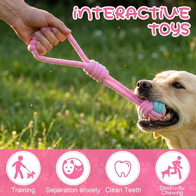 Leitee 14 Pcs Puppy Toys for Teething Dog Chew Toys for Small Dogs Soft Interactive Squeaky Plush Balls Doggy Teeth Tug of War and Rope for Small Dogs Puppy (Classic,Pink)