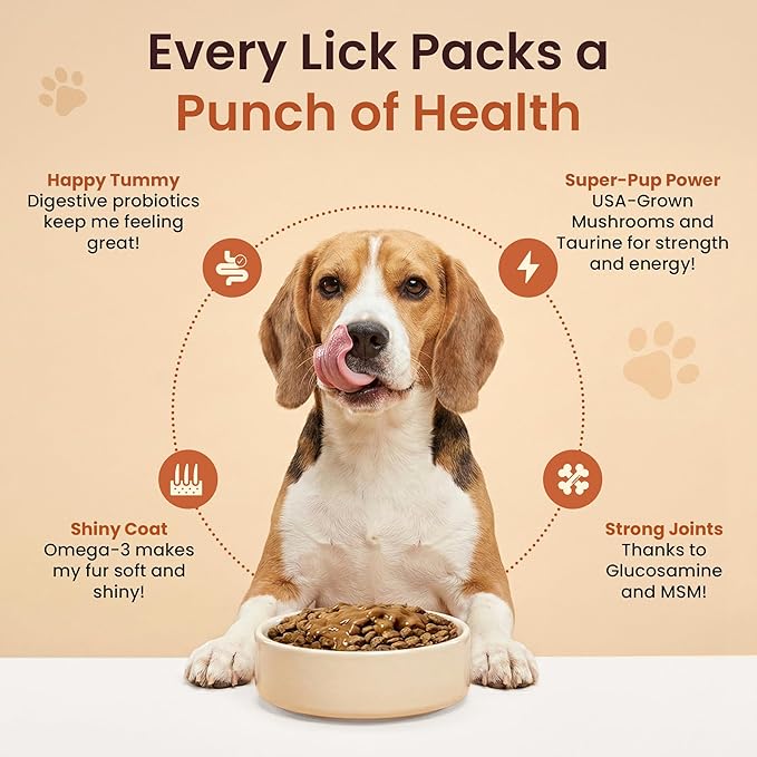 Everyday Dog Gravy - Wet Dog Food Topper for Dry Food with Glucosamine, MSM, Beef Bone Broth, Omega 3, Probiotics and Taurine - Skin, Coat, Heart, Hip and Joint Support, 16 oz (Beef)