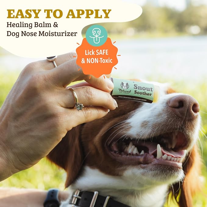Natural Dog Company Paw & Snout Care Bundle – Lick-Safe Balm & Wax for Dry, Cracked Paws + Balm for Dry, Cracked Snouts · Coconut Oil, Shea Butter & Vitamin E · All Breeds & All Life Stages