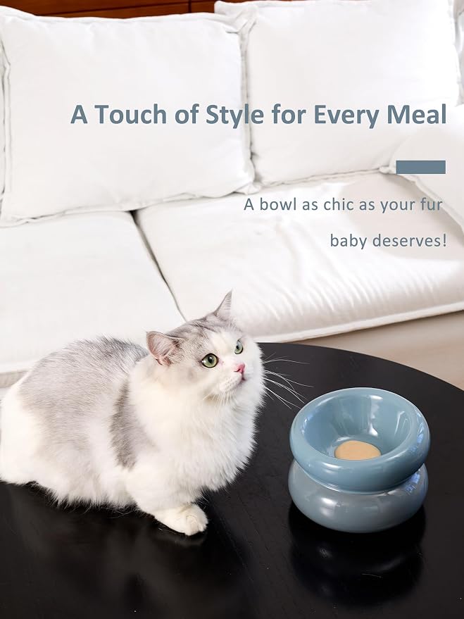 Elevated Cat Water Bowls Raised Small Ceramic Dog Bowl,Non-Slip Tilted Cat Food Bowl Whisker Friendly-Blue