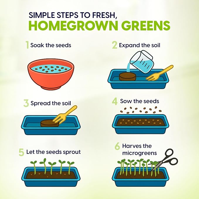 ZESTIGREENS Ceramic Microgreens Growing Kit to Grow 3 Crops Including Organic USDA Red Amaranth, Purple Rambo Radish & Broccoli Microgreens Seeds.