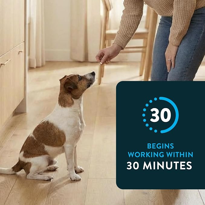 Capstar (Nitenpyram) Fast-Acting Oral Flea Treatment for Dogs 2-25 Lbs, Vet-Recommended Medication Tablets, Flea Tablets for Dogs Start Killing in 30 Minutes, 12 Doses (Includes Two 6-Count Boxes)
