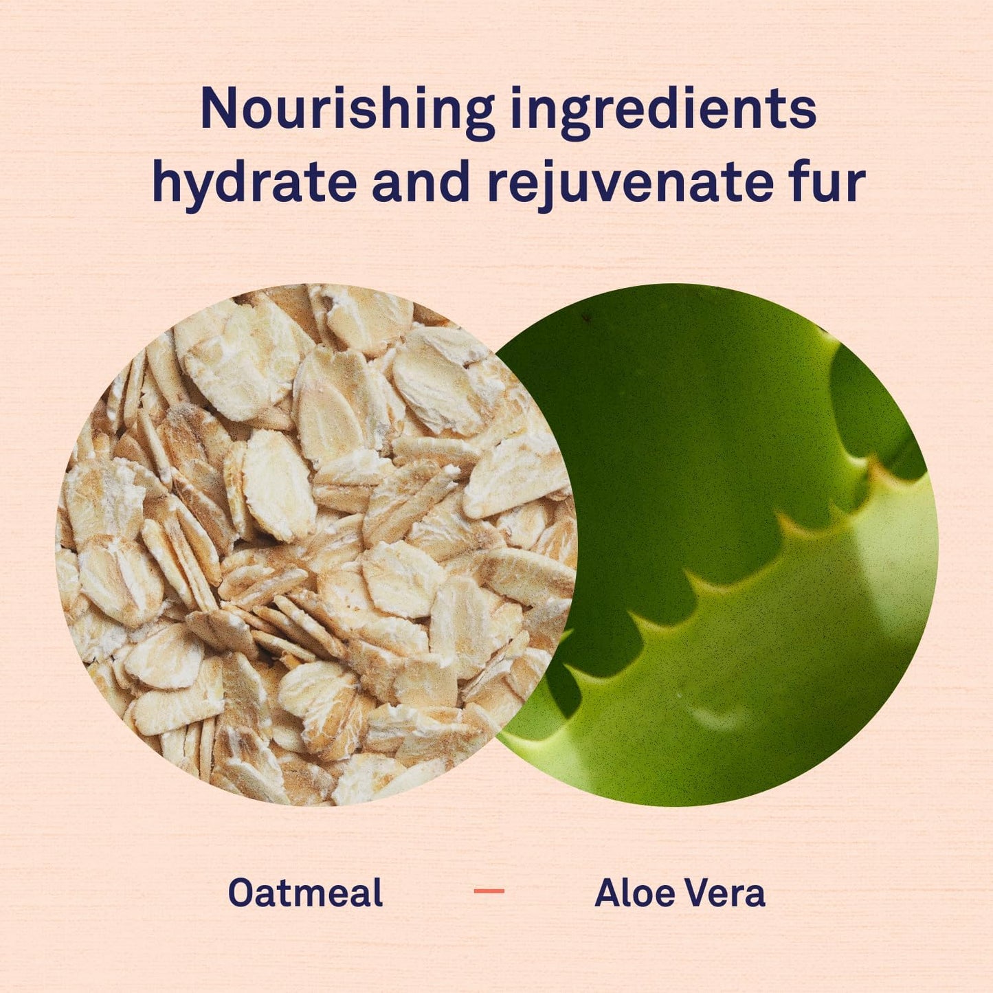 Petpost | Detangling Spray for Dogs with Knots, Mats & Tangles - Naturally Rejuvenating Dog Hair Detangler for Healthier, Shinier, Stronger Fur - Oatmeal, Aloe, and Vitamin E Formula 8 oz.