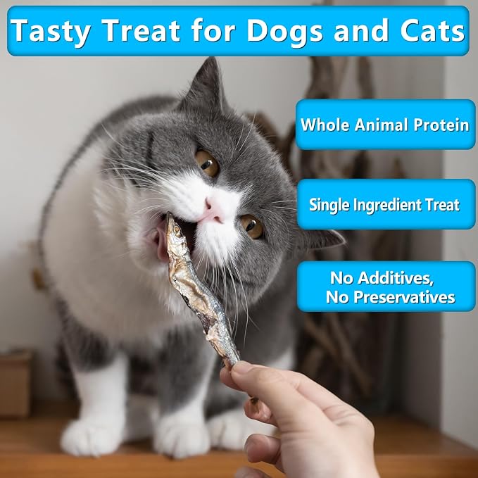 Minnows Dog Treats, Single Ingredient Dried Minnows for Dogs & Cats, Air Dried, Grain-Free, High-Protein, 100% Natural Premium Cat & Dog Treats 4.5 oz