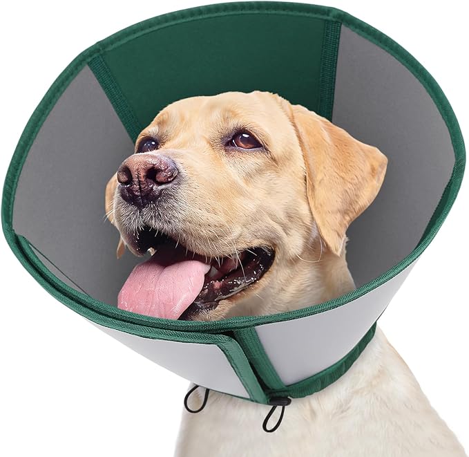 Queenmore Dog Cones for Large Dogs, Cone for Dogs to Stop Licking After Surgery, Adjustable Waterproof Dog Cone Collar Alternative, Comfortable Pet Recovery E-Collar (Dark Green,L)