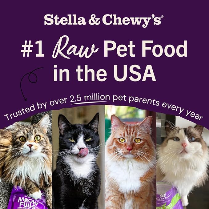 Stella & Chewy's Freeze-Dried Raw Cat Dinner Morsels - Premium Salmon & Chicken Recipe with 98% Wild-Caught & Cage-Free Protein - Natural Grain-Free Cat & Kitten Food - Made in USA - 8 oz