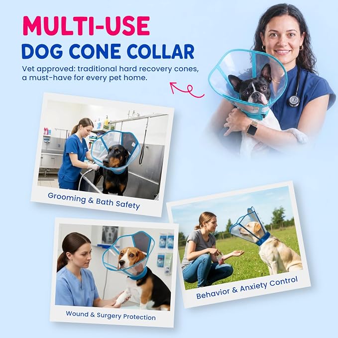 Soft Neck Pad - Hard Plastic Dog Surgery Recovery Cone Collar, Clear Vision Cone for Dogs to Stop Licking, Comfy Dog Cones for Large Dogs, Extra Long Elizabethan Collar for Labrador, Blue-Green L