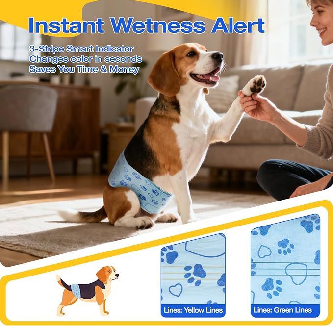Male Dog Diapers with Wetness Indicator, Disposable Belly Band for Puppy Male Diapers, Doggie Wraps for Puppy Training, Incontinence (M, 52 Count)