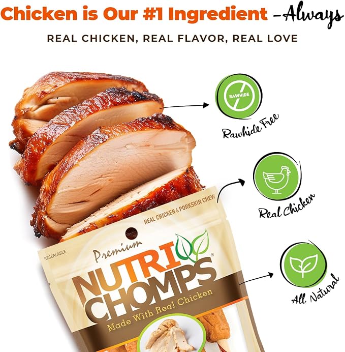 NutriChomps Dog Chews, 5-inch Kabobs, Easy to Digest, Rawhide-Free Dog Treats, 6 Count, Real Chicken and Duck flavor