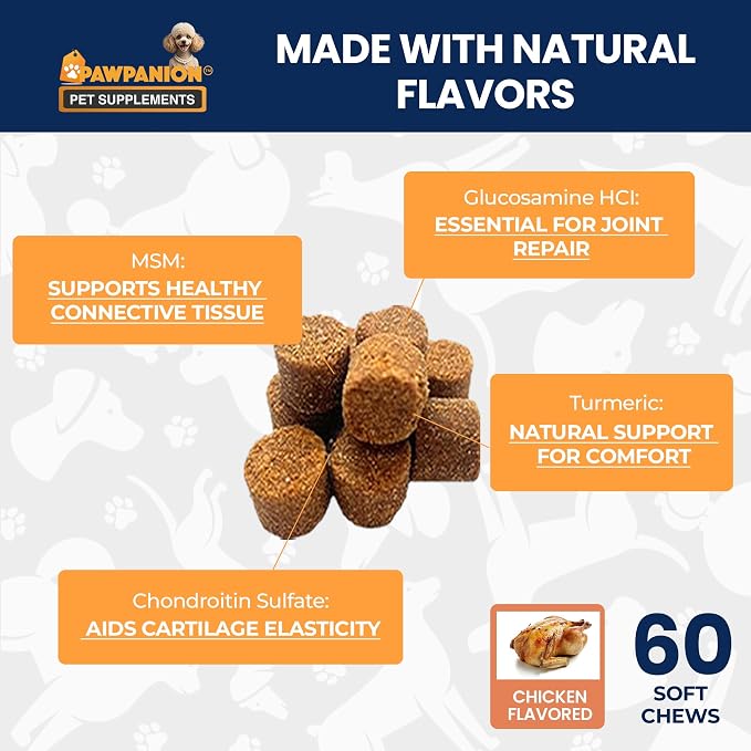 Hip & Joint Soft Chews for Dogs Joint Support & Mobility 60 Count