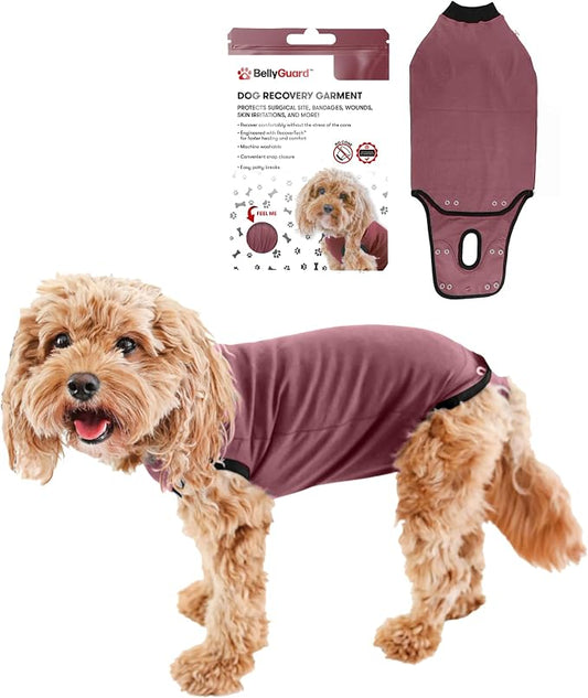 BellyGuard Dog Surgery Recovery Suit, Post-Op Dog Recovery Suit for Female Spay & Male Neuter, Comfy Onesie for Pets, Surgical Body Cover for Canine Healing Support