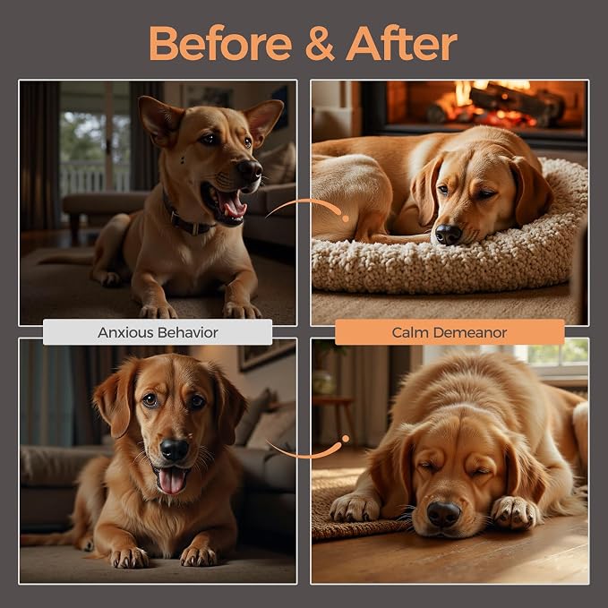 Melatonin Calming Chews for Dogs, Calming Dog Supplement, Melatonin Chews to Help Reduce Anxiety and Stress from Storms, The Vet, Fireworks and Travel, Chicken Flavored 120 Soft Chews 300g