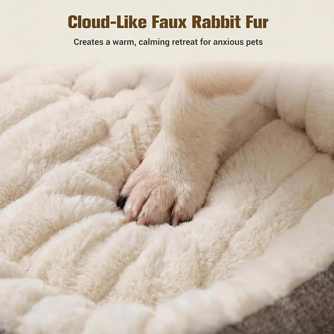 Avont Supportive Dog Bed for Small Medium Dogs, Plush Foam Fill, Cream | Removable Machine Washable Cover, Low 5.12" Entry for Pups & Seniors, 7:3 Foam-PP, Non-slip Bottom, Hidden Chew-proof Zippers
