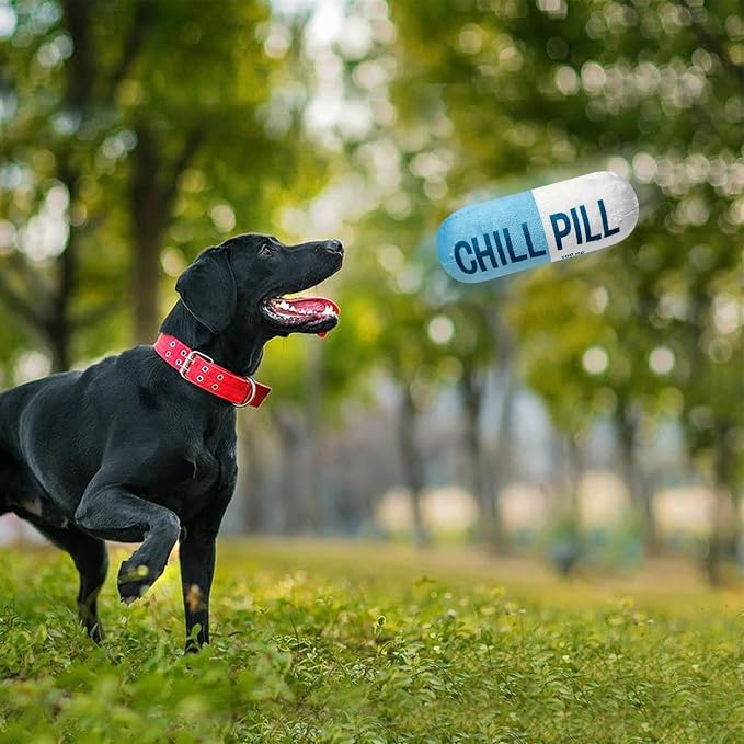 Wanheart Funny Chill Pill Dog Toy, Squeaky Plush Capsule for Teething Puppies & Cats, Interactive Chew Gift with Bite-Resistant Design, Pet Lover Present, Training Supply & Photo Prop(Blue)
