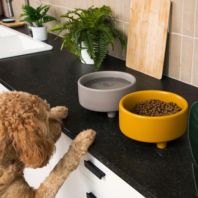 Waggo Uplift Ceramic Dog Bowl for Small Medium and Large Breeds - Heavyweight and Durable Pet Food and Water Dish Crock, Dishwasher Safe, Modern, Elevated Feeder (Mustard, Large)