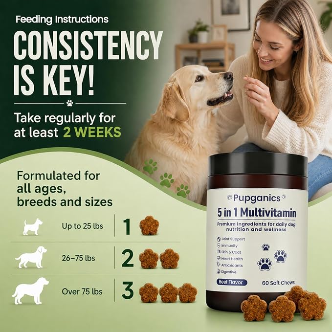 Pupganics Multivitamin Daily Soft Chews for Dog, 5 in 1 multivitamin for Hip & Joint, Heart Health, Skin & Coat, Gut & Immune Support, with Probiotics, Vitamin A/D3/E, Beef Flavor, 60 Chews (1)