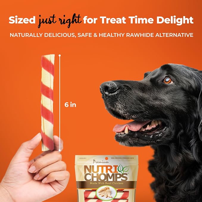 NutriChomps Dog Chews, 6-inch Twists, Easy to Digest, Long Lasting, Rawhide-Free Dog Treats, 15 Count, Real Chicken flavor