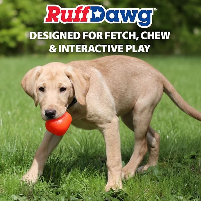 Ruff Dawg Cube Medium 2.5 Indestructible Dog Toy, Green – Heavy-Duty Rubber Fetch & Chew Toy for Aggressive Chewers – Erratic Bounce, Floats, BPA & Latex Free – Made in USA