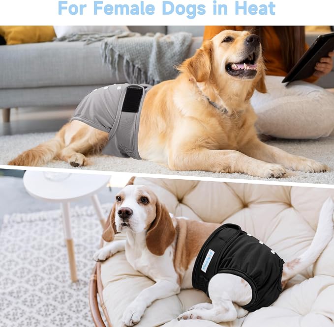 5Pcs Washable Reusable Female Dog Diapers Puppy Doggy Doggie Diapers for Female Dogs Small Medium Large Period Panties in Heat, Large