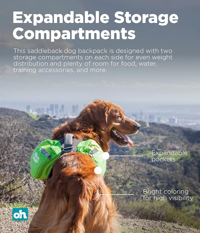 Outward Hound DayPak Green Dog Saddleback Backpack, Large